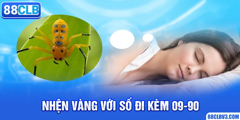 Mơ Thấy Nhện - Ý Nghĩa Và Cặp Số May Mắn Trong Lô Đề 2026 Nhện vàng với số đi kèm 09-90