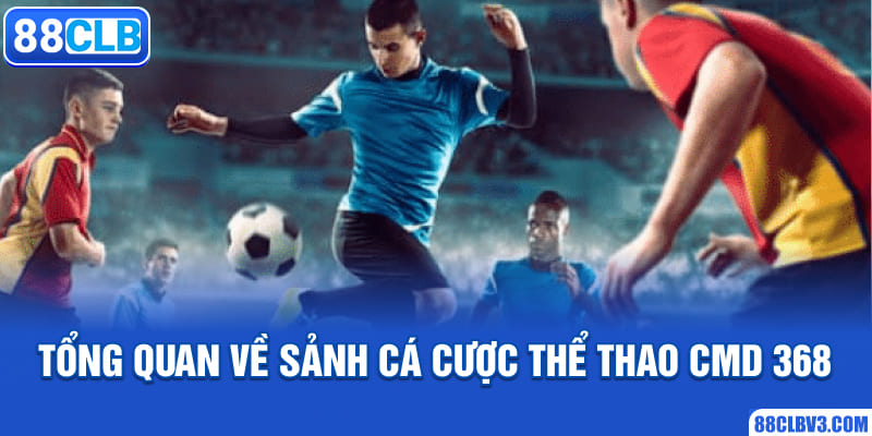 Sảnh Cá Cược Thể Thao CMD 368 - Thông Tin Cơ Bản Cho Newbie Tổng quan sảnh cá cược thể thao CMD 368 cho newbie